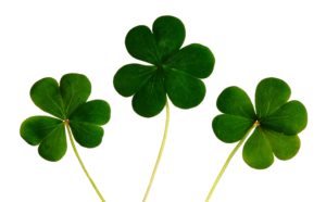 Irish toasts St. Patrick's Day Flying Saucer